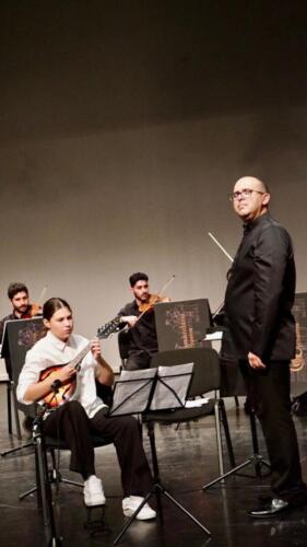 в галерею (10)