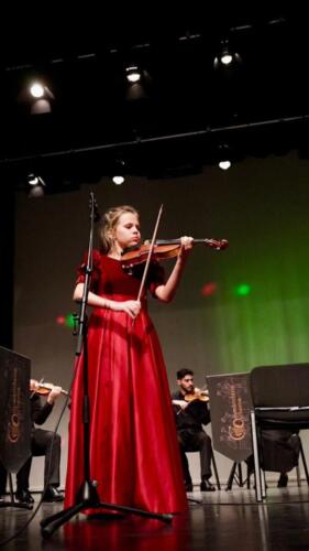 в галерею (14)