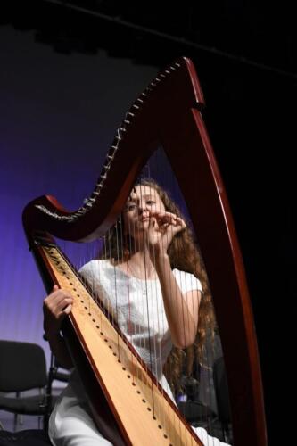 в галерею (16)