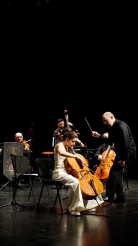 в галерею (23)