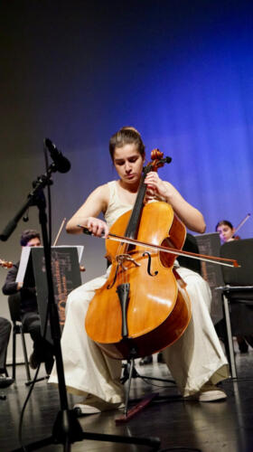 в галерею (24)