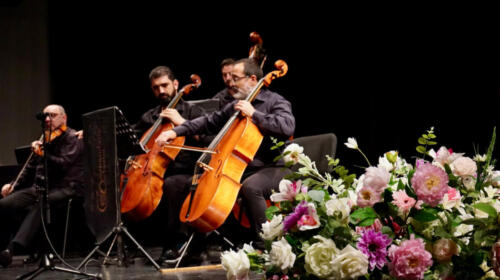 в галерею (25)